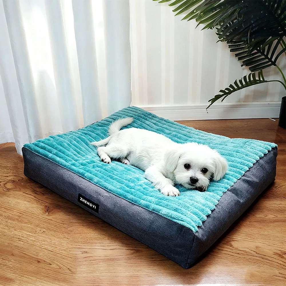 S00a4362dc4ef491ab8d41a36b5f350f3D