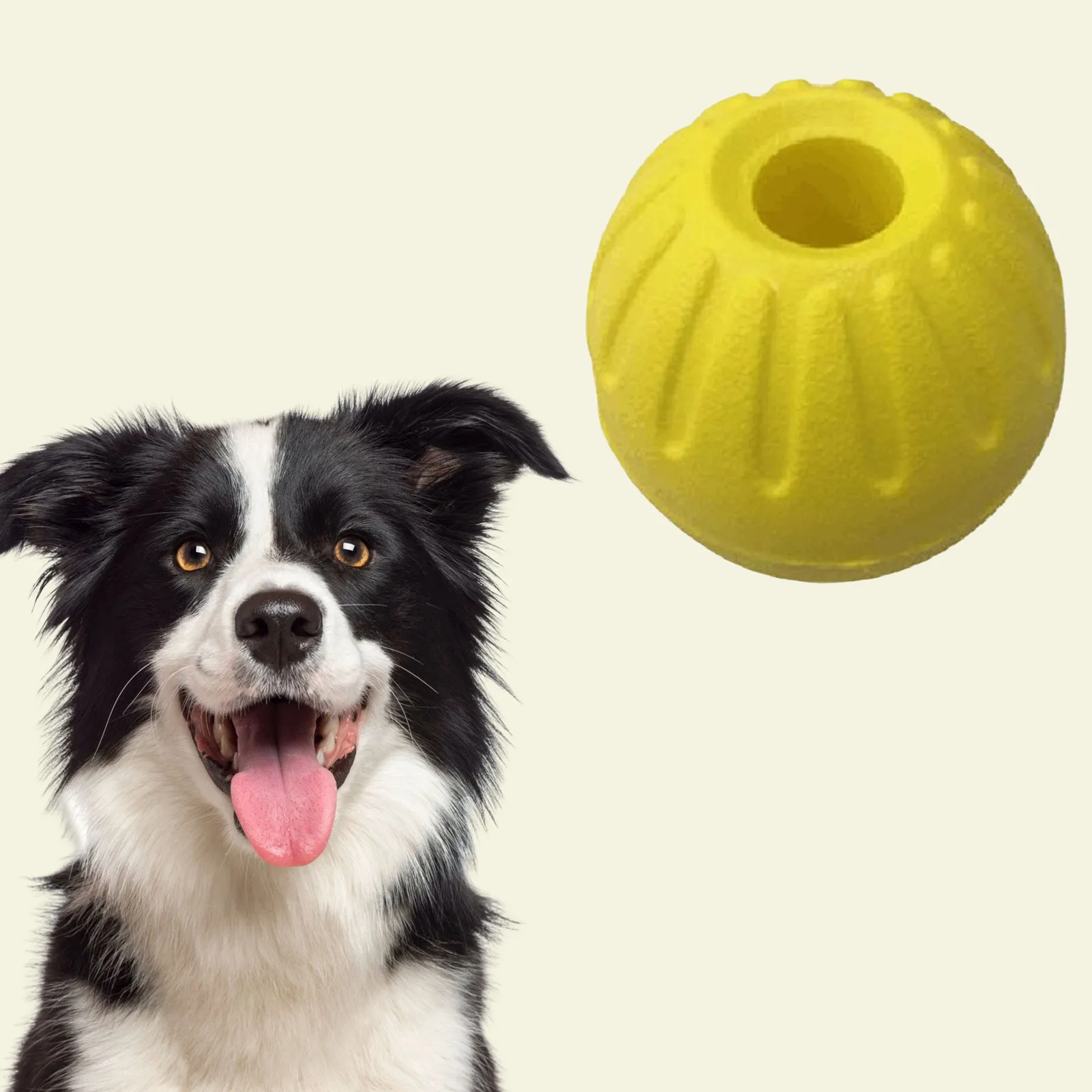 https://ae01.alicdn.com/kf/S00a50d03fecc4d67b136f8d317ac162cN/Pet-Ball-Toy-without-Rope-Interactive-Dog-Training-Chew-Tooth-Cleaning-Indestructible-Healthy-Solid-Core-EVA.jpg