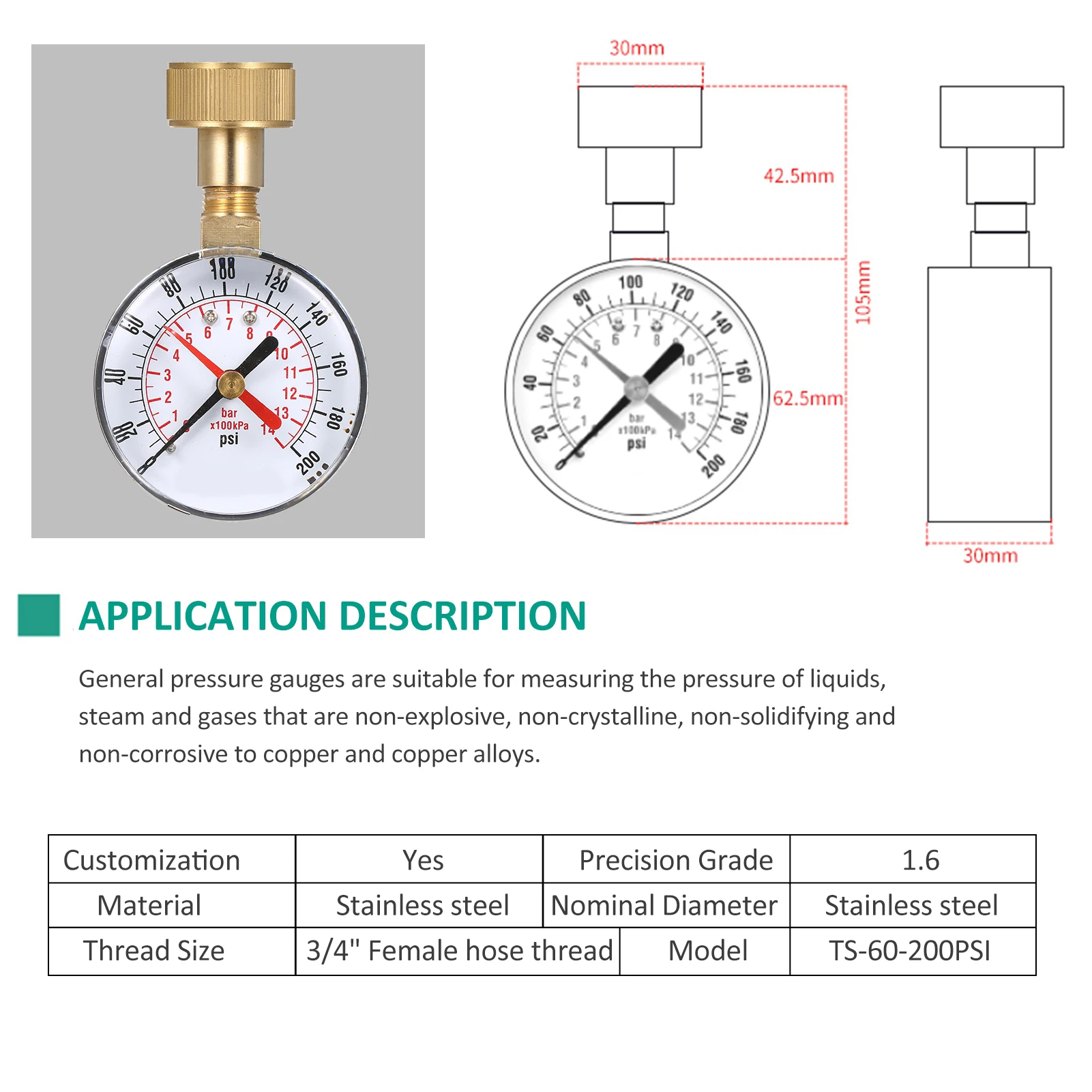 Pressure Gauge Lepmerk 2-1/2" Water 0-200 PSI Red Pointer