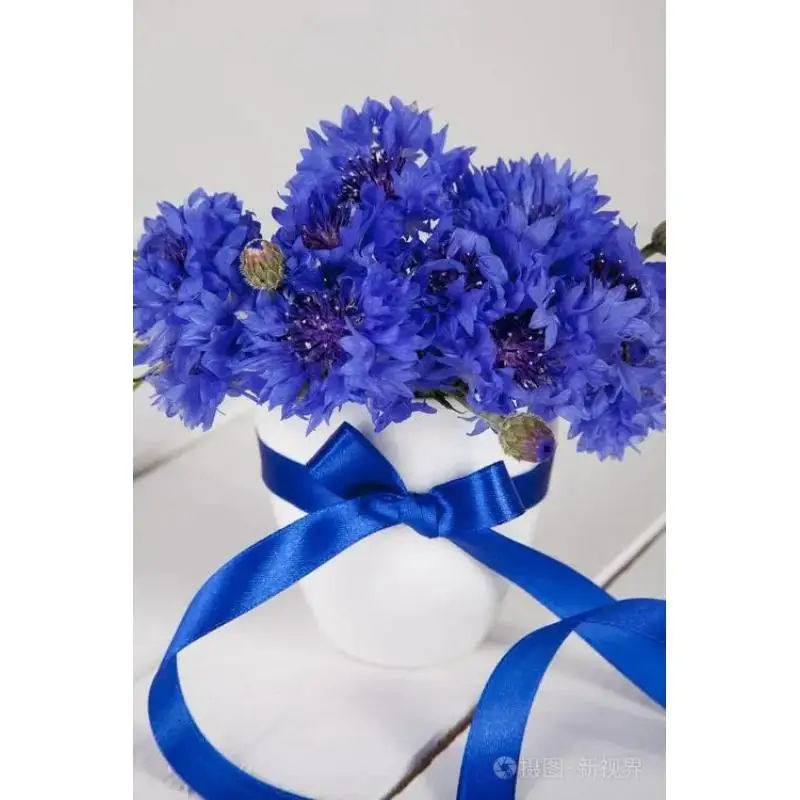 Top Quality Bulk Cornflower Dried Flowers Cornflower Petal For Wedding Decoration Diy Resin Mix Flower Sachet Soap Candle Making