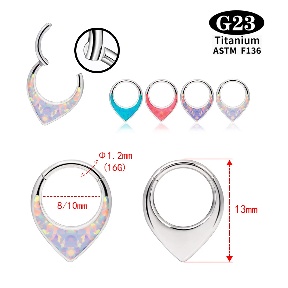 G23 Titanium Nose Rings For Womenm Luxury Piercing Body Jewelry Septu Hoop Crescent-Shaped Cartilage Hoop Earring