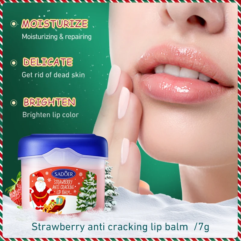 4pcs/kit SADOER Lip Balm Sets Moisturizing Anti Cracking Hydrating Repair Nourishing Plump Lips Lipstick Skin Care Christmas Box