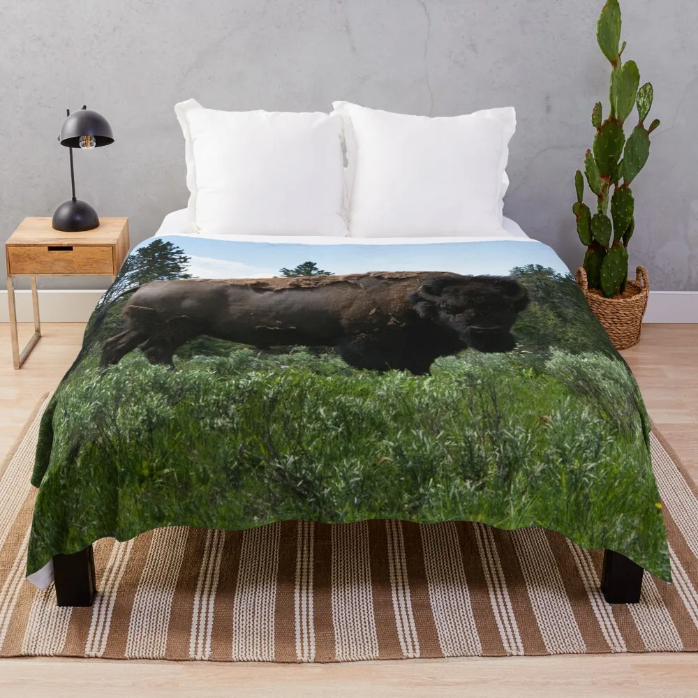 

Buffalo Stare Down Throw Blanket Furry Blanket Blankets Sofas Of Decoration Thin Wadding Blanket