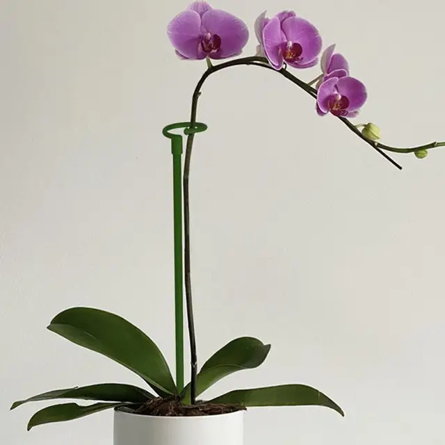 Növénytámogatás 10 Csomag Növényi Tartó Tétkert Egyetlen Szárú Karika Prop Virágok Orchidea Paradicsom Peon - Image 5