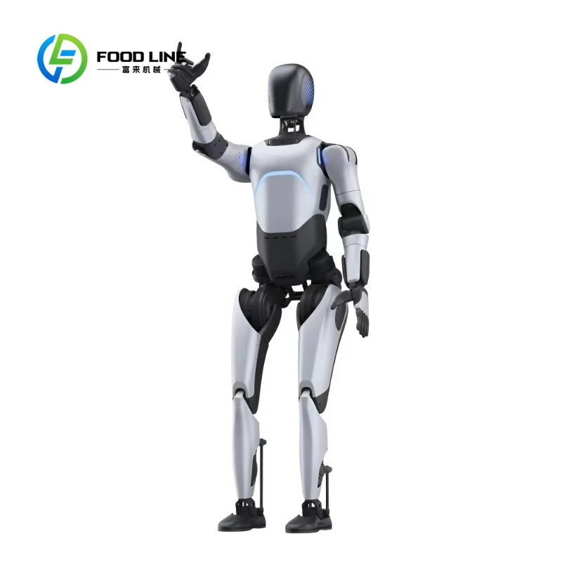 Robot Umanoide Modulare Personalizzato con Moduli Articolari Personalizzabili per Uso Industriale Specializzato e Domestico