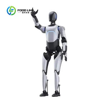 Robot Umanoide Modulare Personalizzato con Moduli Articolari Personalizzabili per Uso Industriale Specializzato e Domestico