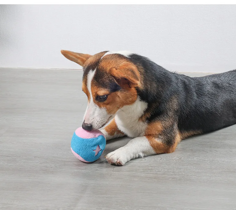 Tennis sniffing toys _16