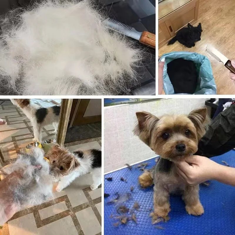 Professioneller Hundekamm aus Edelstahl mit Holzgriff, Enthaarungsmesser, Tierhaar-Entferner, Zubehör zum Entfernen von Überschüssiger Unterwolle – Detail 4