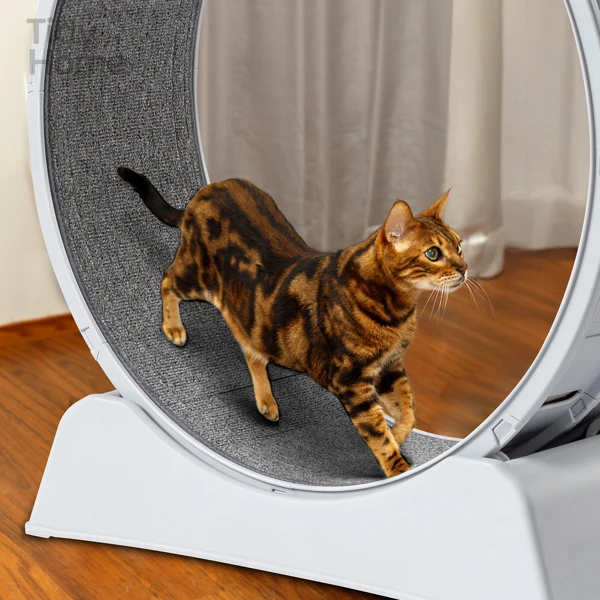 80*34*85CM 灰色 PP 圆形带灰色地毯 猫跑步机-16