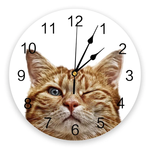 Animale simpatico gatto animale domestico orologio da parete Design moderno  soggiorno decorazione orologio da cucina orologio da parete muto  decorazioni per interni di casa - AliExpress