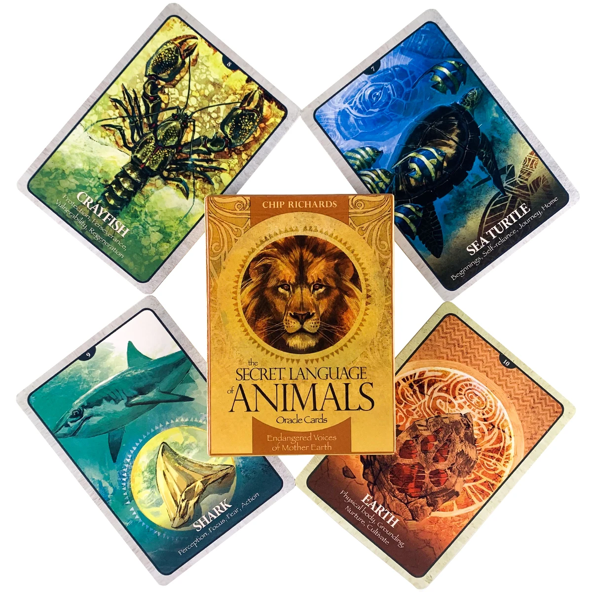 

The Secret Language Of Animals Oracle Tarot Deck Mysterious Divination Card Game Board Game English Playing Cards With PDF Guide