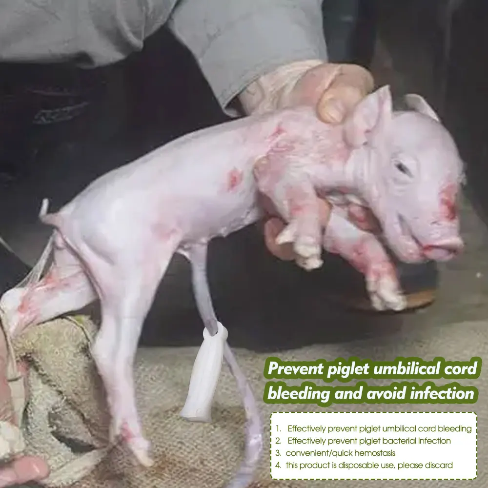 Umbilical Cord Clips for Prevent Pig Cow Sheep Umbilical Stalk Infect Navel Cord Clamp Farm Livestock Breed Pet Animals Suckling 5