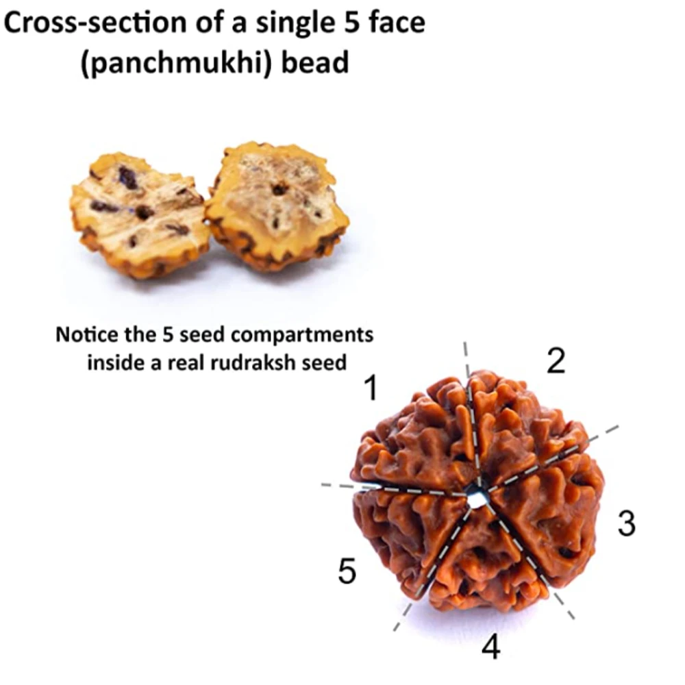 7-8mm Original Rudraksha Beaded Knotted Japamala Necklace Bracelet Set Meditation Yoga Blessing Jewelry 108 Mala Rosary 4