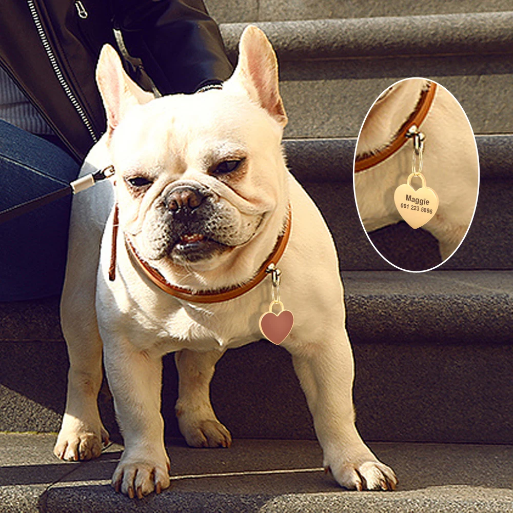 Free Engraved Cat & Dog ID Tag – Personalized Heart Name Pendant Collar Charm