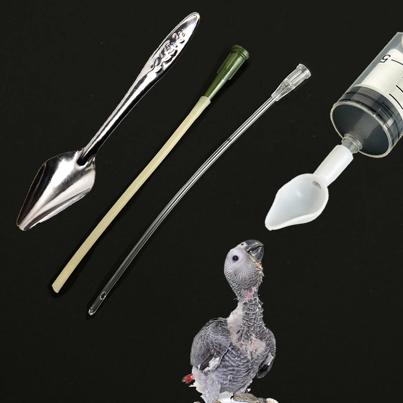 Bird Parrot Feeding Spoon Baby Parrot Feeder Liquid Food and Medicine Spoons Bird Feeding Spoons for Cockatiel bird feeder parrot feeder