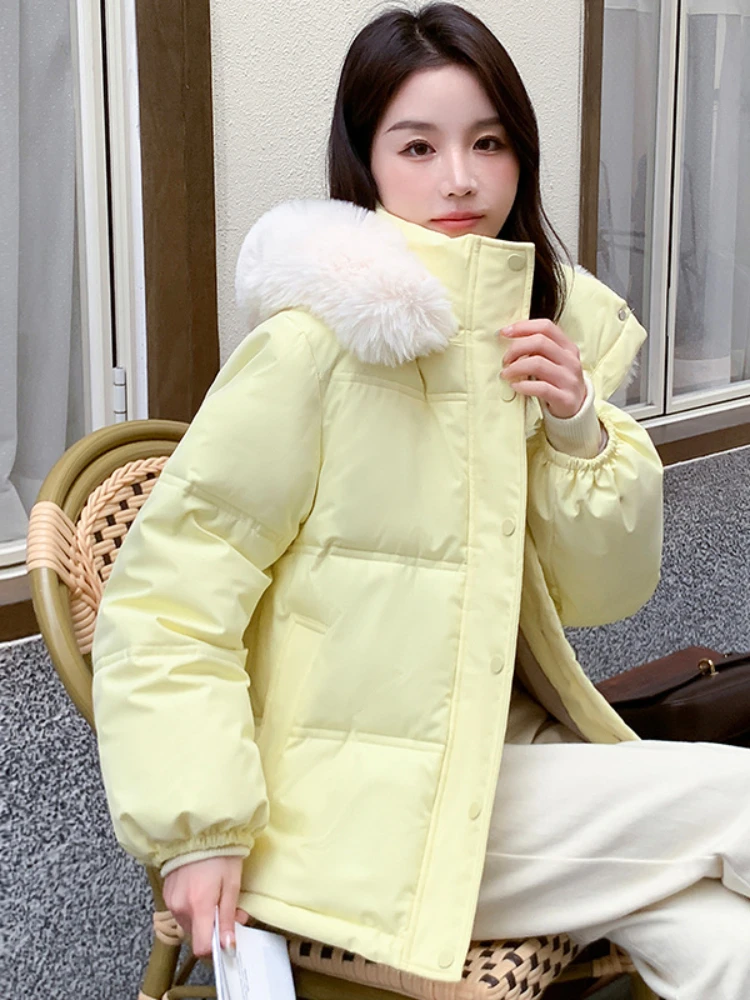 

Winter Cotton Padded Coat Women Korean Fashion Large Collar Warm Thickening Puffer Jacket Female Casual Short Parkas Mujer