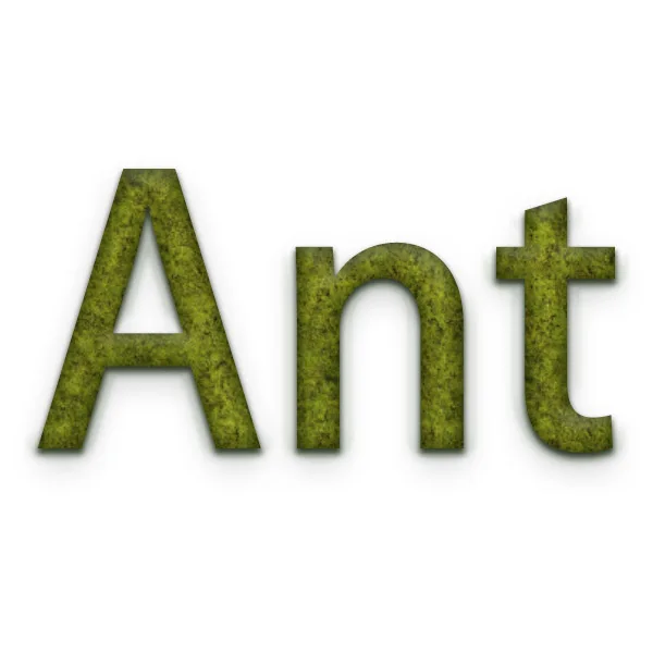 Ant Accessories Store