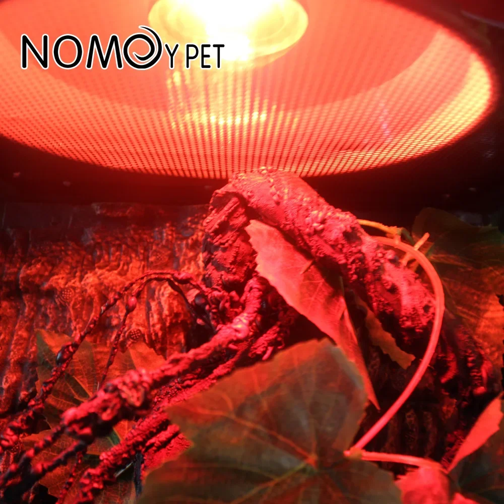 220V Reptile Heat Lamp Bulb Infrared Basking Spot Lamp Amphibian Snake Lamp Heat Reptile Bulbs 25W 50W 100W  luz terrario 5