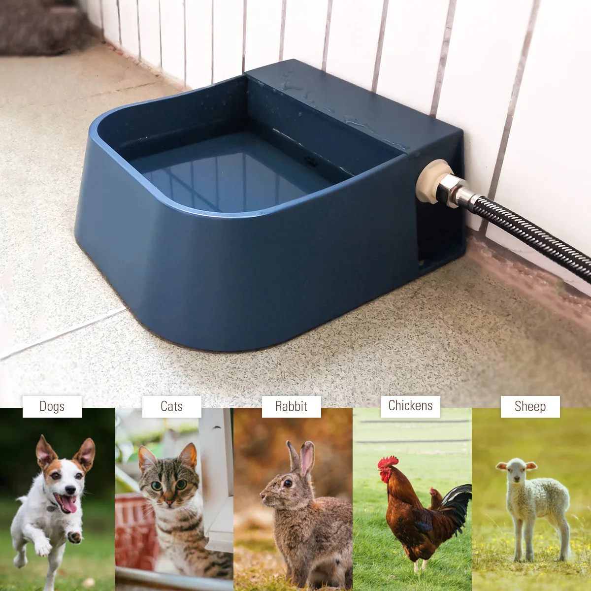 Auto Fill Water Bowl 2L Automatic Dog Water Dispenser Outdoor Indoor  Livestock Water Float Valve Water Feeder for Cat Chicken - AliExpress 15