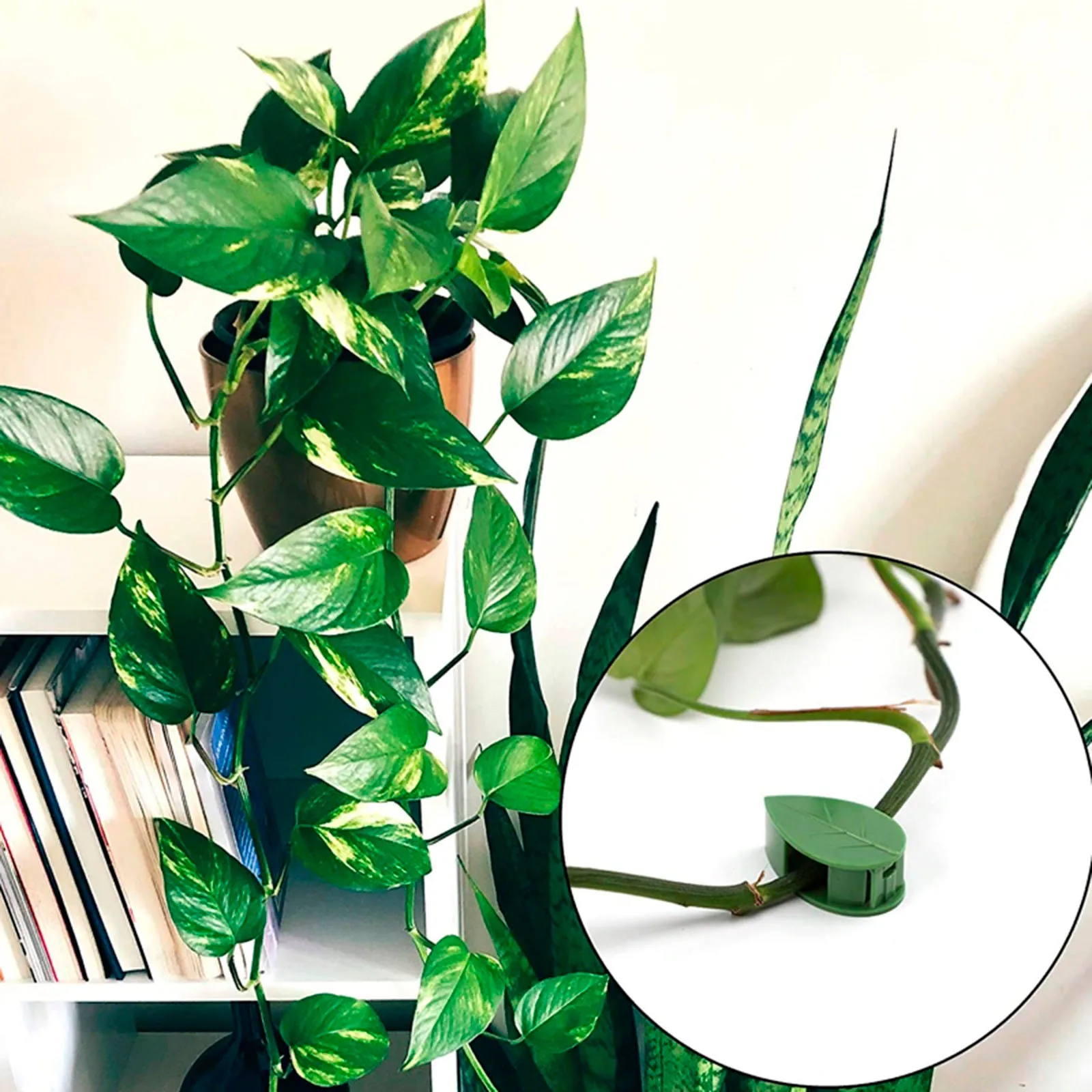 Plant Vine Traction Clip Wall Fixing Clip Self-adhesive Hook Plant vine traction fixator