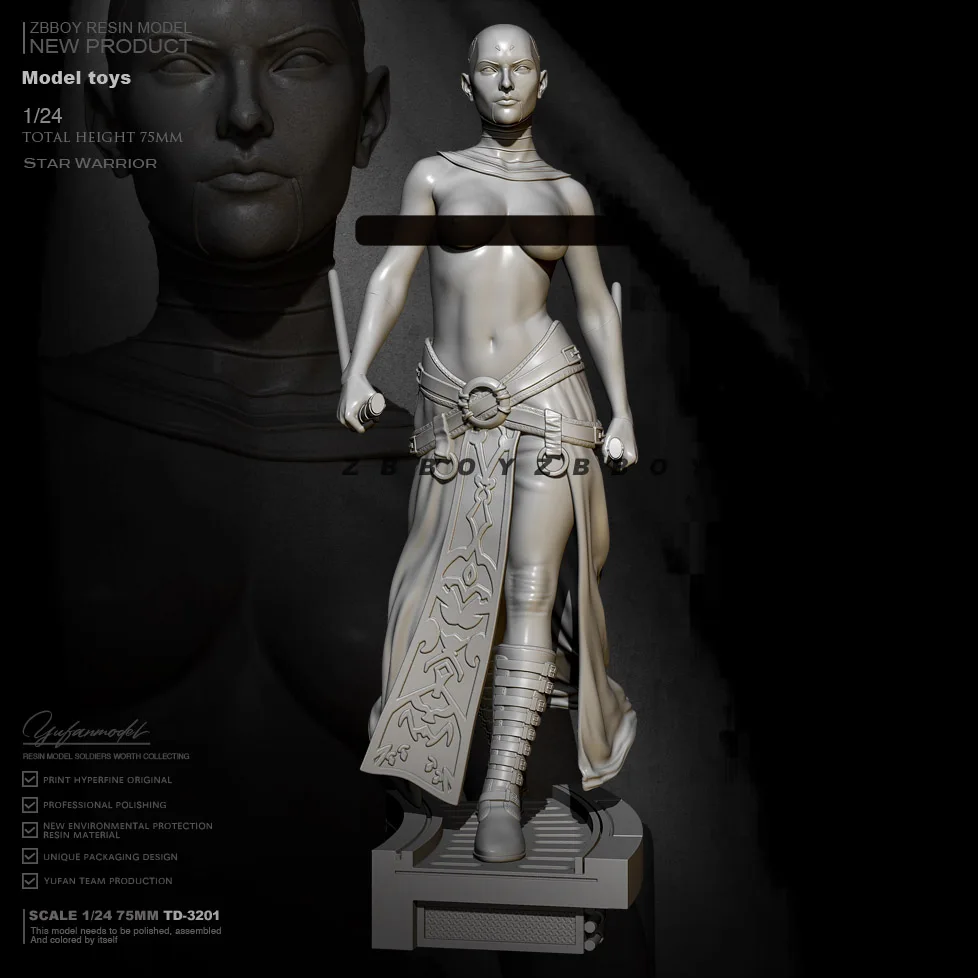 1/24   ŰƮ ǱԾ Ƹٿ   ü  TD-3201