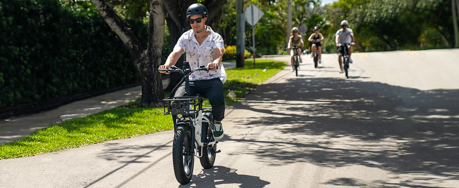 Electric Bike for Adults