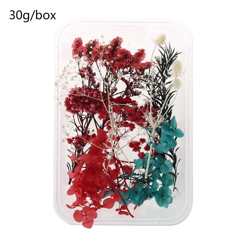 1 Box Real Mix Dried Flowers for Aromatherapy Resin Jewellery Dry Plants Pressed Flower Making Craft DIY Accessories Home