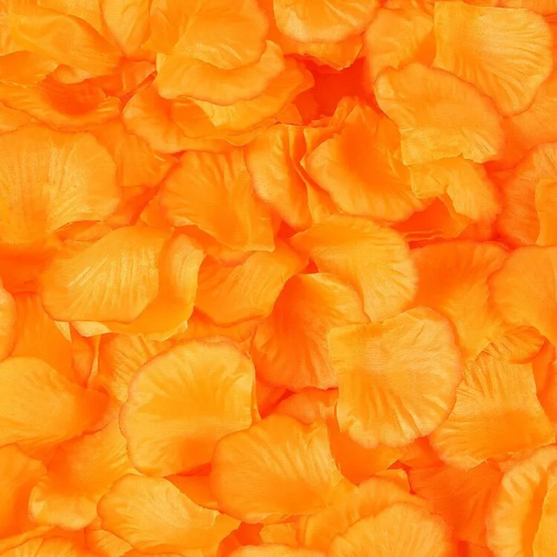 Bella Disposizione Bianca E Verde Della Decorazione Del Fiore Sulla Tabella Di Nozze Nuziale Image117543839