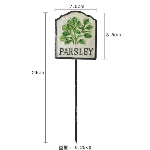 Parsley