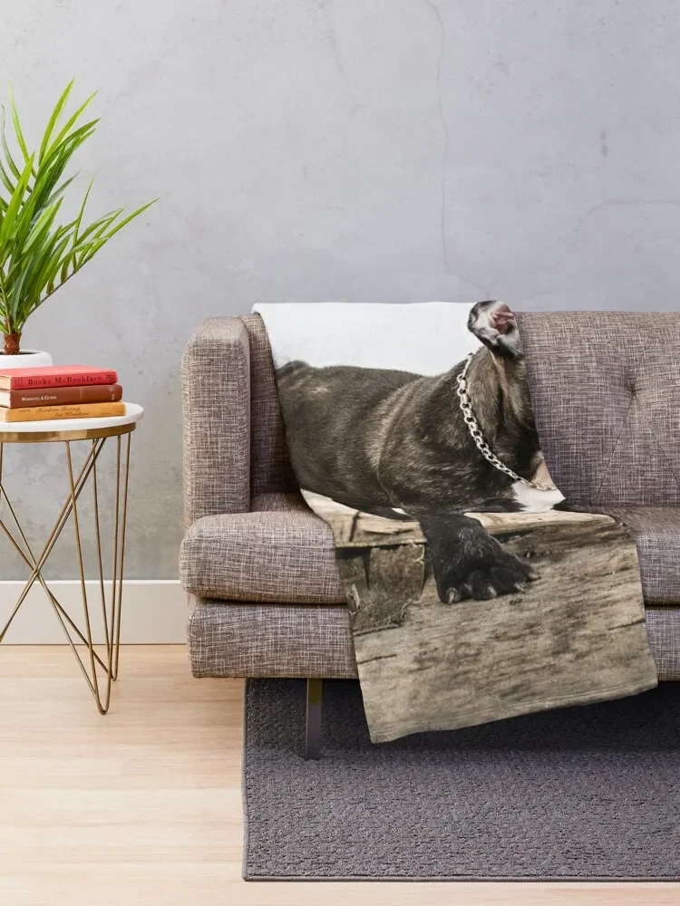 ����ġ �ҵ� �ʻ�ȭ ������ ���, ���� ������ �ܿ� �̺� ���