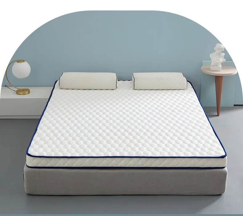 Description Picture 4 of itemDropshipping Customizable Size Mattress Soft Mattress Home Tatami Mat Was The Floor Mat Student ZHA13-27999