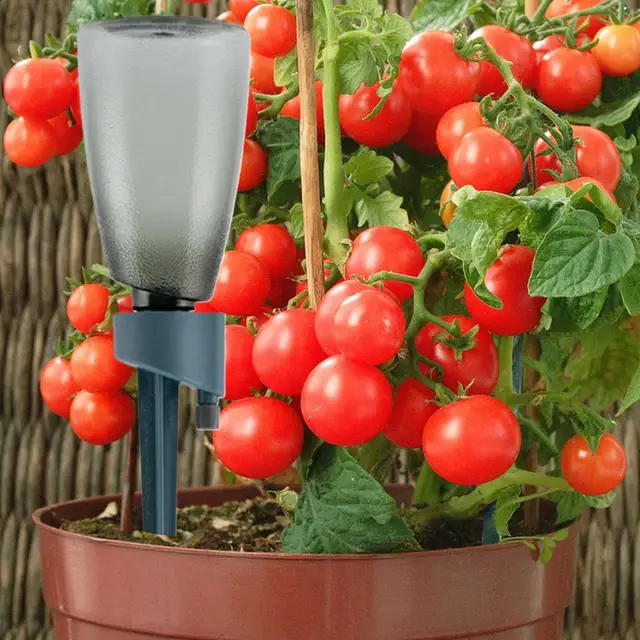 Watering Stakes 6 Pieces Plant Watering Devices with Bottle Slow Release Control Valve Automatic Irrigation for Home Potting 3