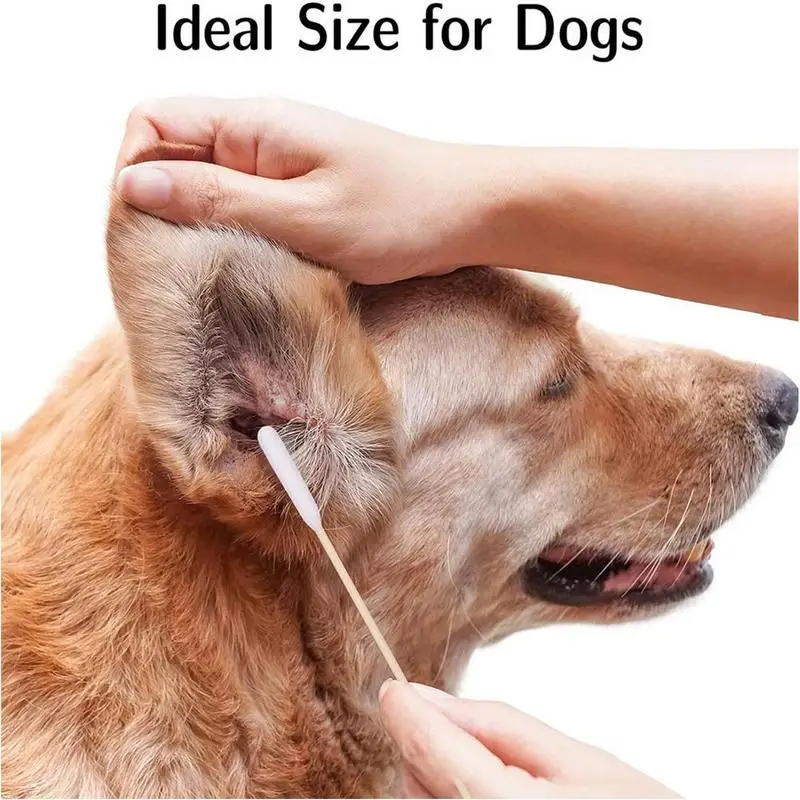 犬用の綿棒,ペットの耳掃除用のケア装置,100ユニット,動物の耳を洗浄 