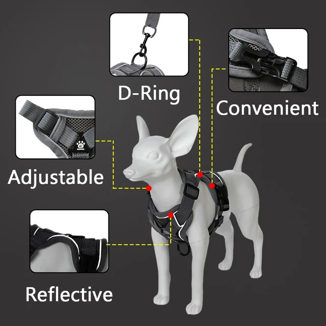Pet Harness and Leash Set Reflective Walking Puppy Vest Chest Strap For Small Dogs Cats Breathable Outdoor Harnesses With D-Ring 4