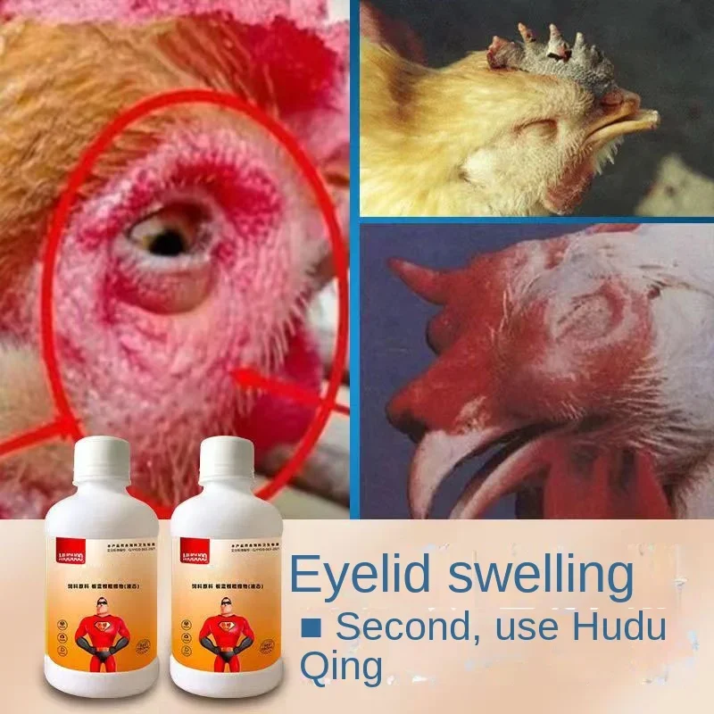 Chickens, ducks, pigeons, snoring and coughing, snoring, opening mouth and neck extension, swollen eyelids, tearing 250ml