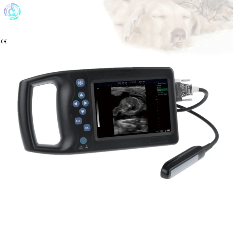 

Handheld ultrasound scanner for animal pig and sheep G-V80