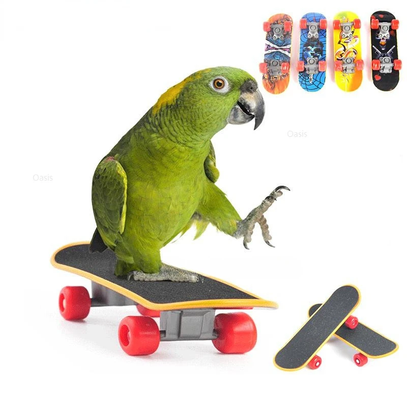Bird Toy Canary Skateboard Parrot Training Skateboard Bird Supplies Skates Lovebird Canaries Perch for Parrots For Birds Toy Acc parrot toy bird toy