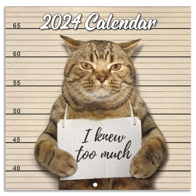 

Настенный календарь 2024 года, настенный календарь с кошкой 2024 января 2024 года-декабрь 2024 года, настенный календарь, забавный подарок с кошкой