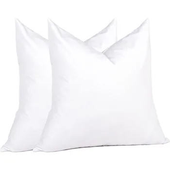 Feather Throw Pillow Inserts 22 X 22 (Pack Of 2, White), Big Throw Pillows For Floor, Couch, Bed, Machine Washable 2