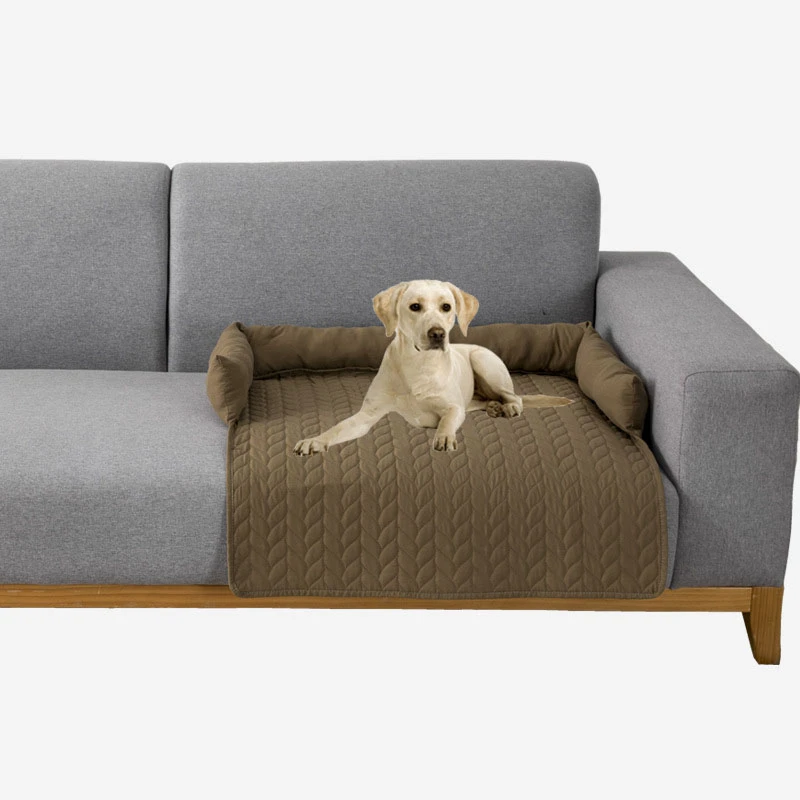 How To Keep Couch Protect Dog