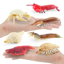 해양 동물 시뮬레이션 사마귀 새우 나선형 조개, 스쿼라 모델, 액션 피규어, 애니메이션, 눈사람 게, 거대한 아이소포드 피규어 장난감