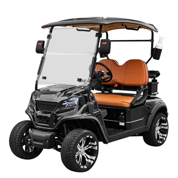 Wholesale Electric Golf Kart 2 Seater Mini Golf Trolley Battery Vehicle Electric Golf Cart for Sale