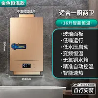 Chauffe-eau à gaz domestique à température constante, type à tirage contrôlé et équilibré pour gaz naturel et GPL 5