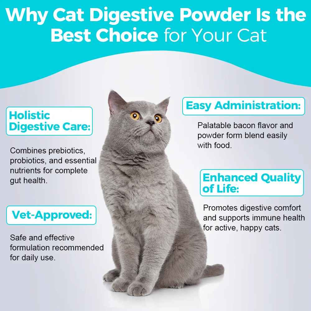 Cat Digestive Powder Natural Digestive Health Support for Cats Improve Gut Health and Digestion