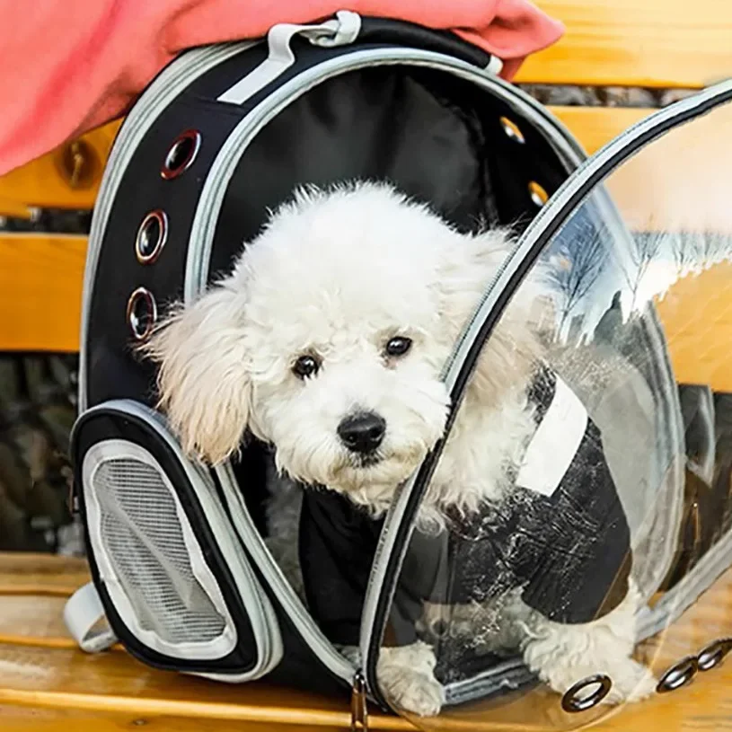 Pet cat bag Transparent sunroof out bag Portable out space capsule Cat supplies Breathable large-capacity backpack