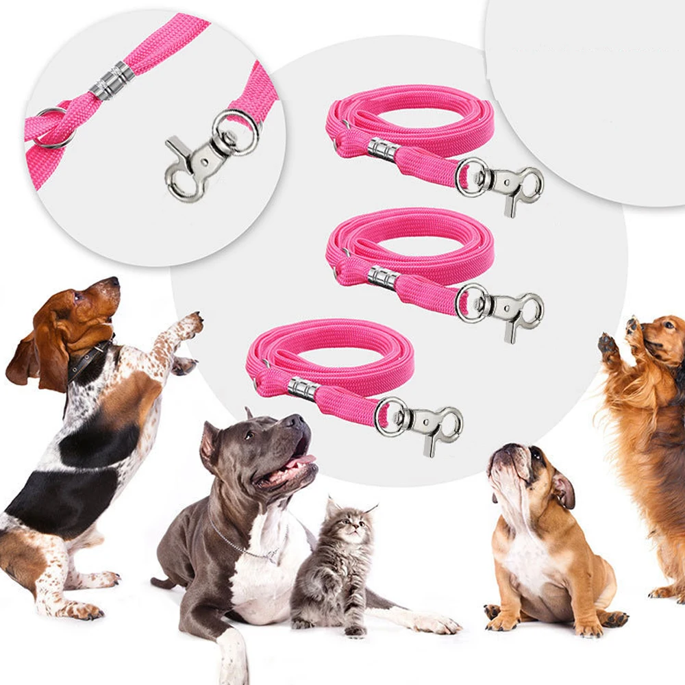 Adjustable Pet Grooming Noose 3