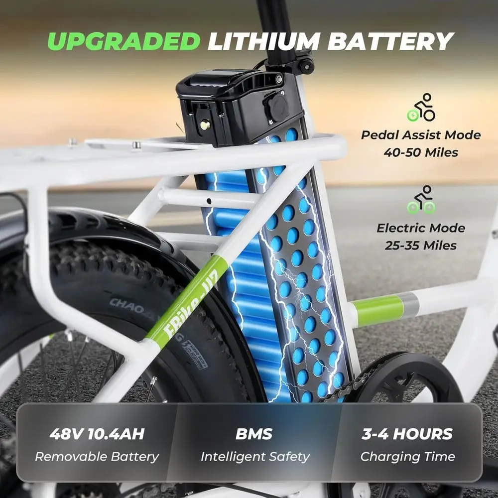 Cargo Cruiser Electric Bike 4