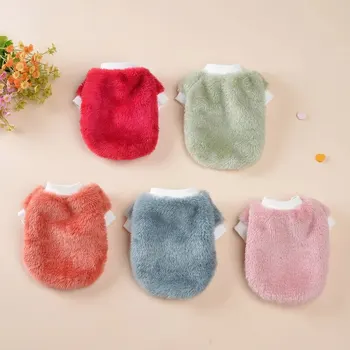 작은 강아지용 마스코트 강아지 옷, 애완 동물 고양이, 귀여운 강아지 코스튬, 아켓 의류, 2023 디자이너 액세서리