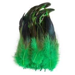 Natural Pheasant Feather Craft Set - 50PCS Decorative Plumes for DIY and Jewelry Projects (Grass green)