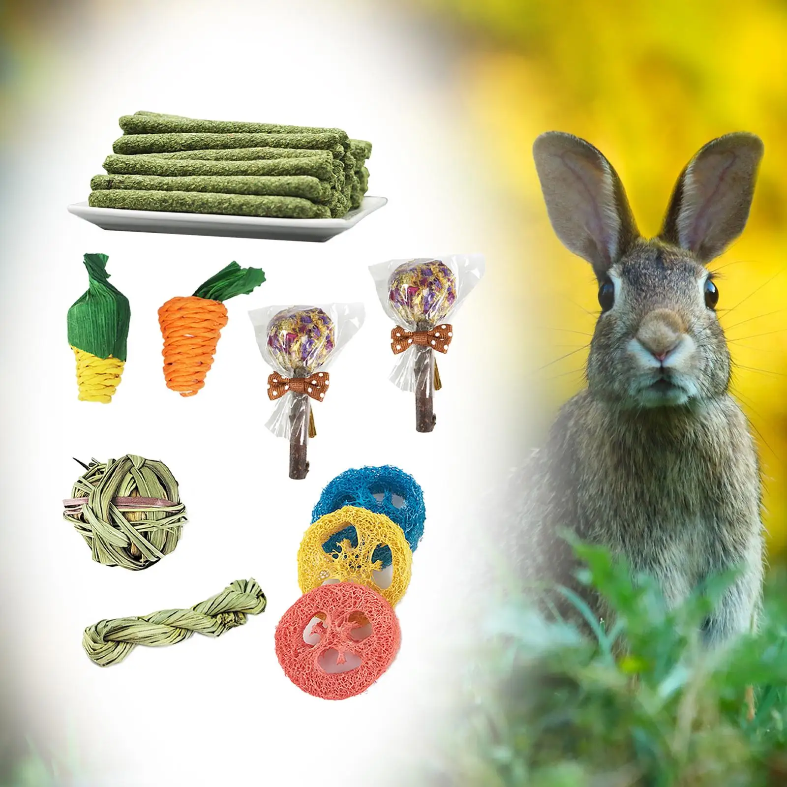 14pcs Rabbit Chew Toys Set Wooden Loofah Chinchillas Hamster Bunny Molar Toys